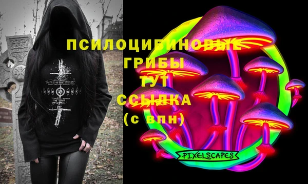 СК Россошь