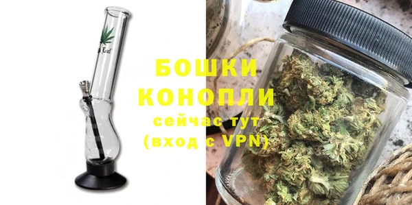 СК Бородино