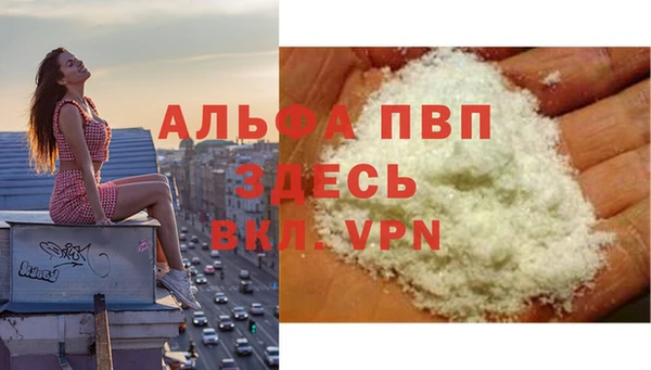 СК Бородино