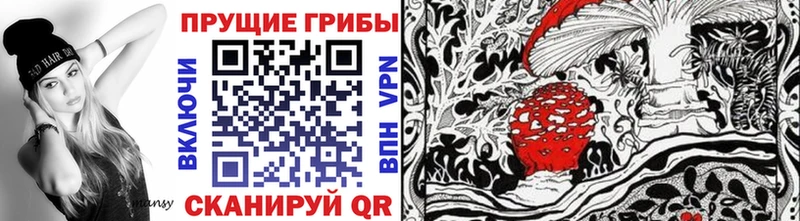 где купить наркотик  Бежецк  Галлюциногенные грибы MAGIC MUSHROOMS 